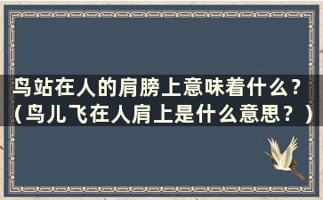 鸟站在人的肩膀上意味着什么？ （鸟儿飞在人肩上是什么意思？）